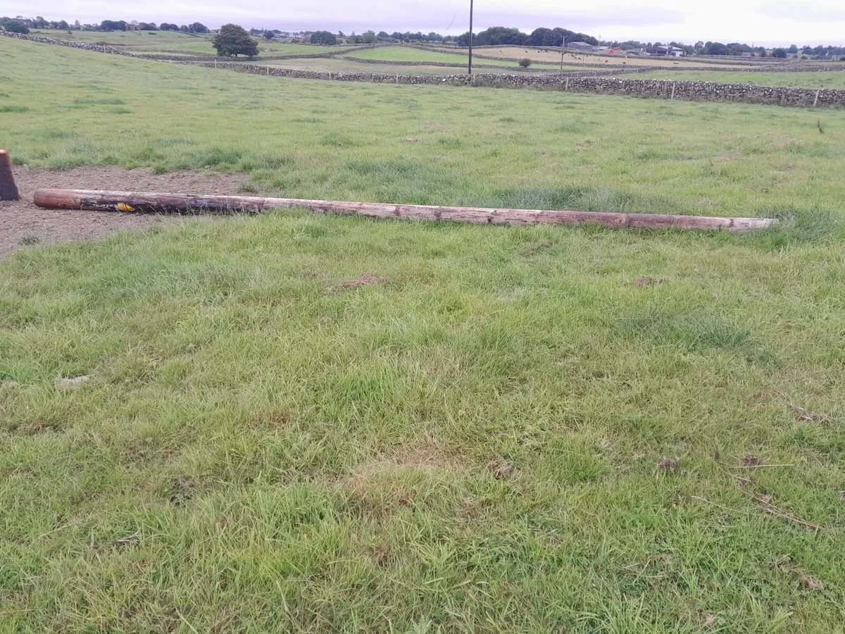 Esb poles - Image 2