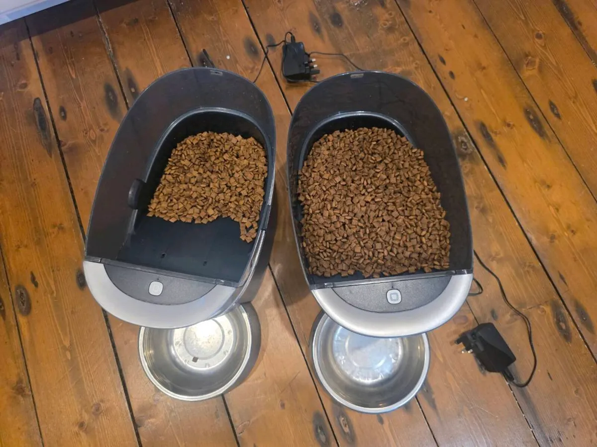 Pet feeder - Image 2