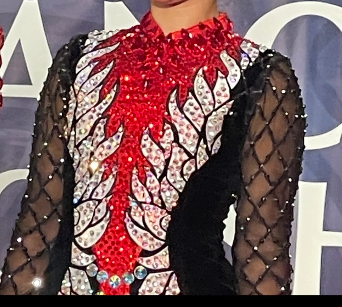 Irish Dancing Dress - Image 3