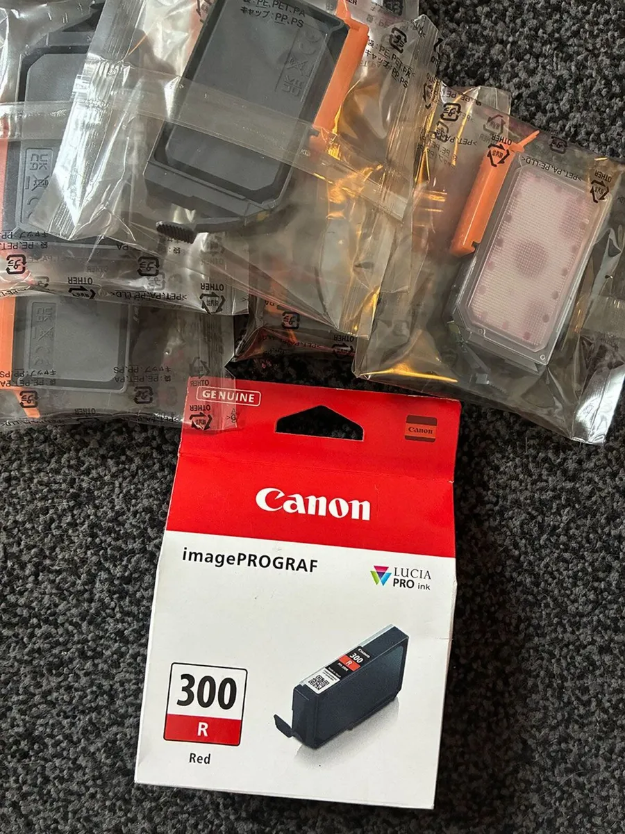 Canon image PROGRAG 300 ink