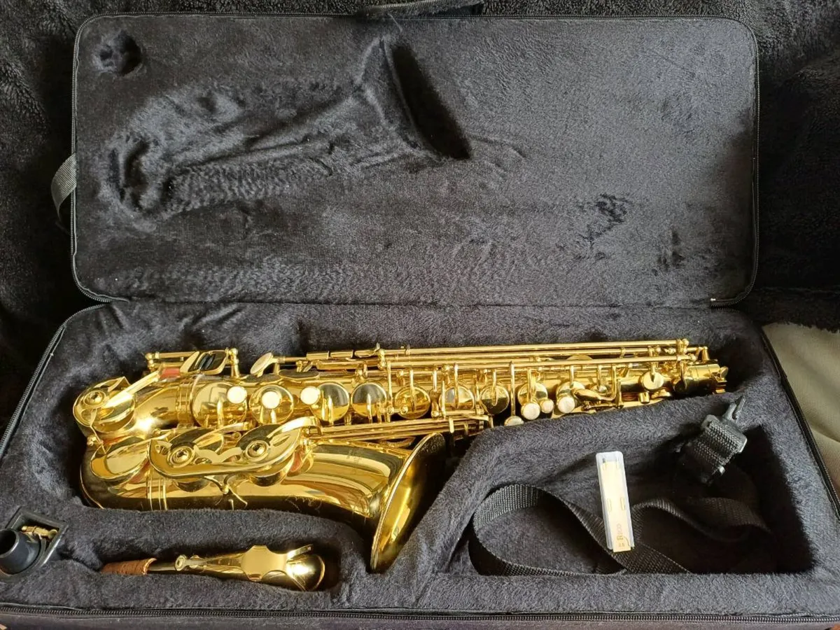 Alto saxophone.  Sax - Image 1