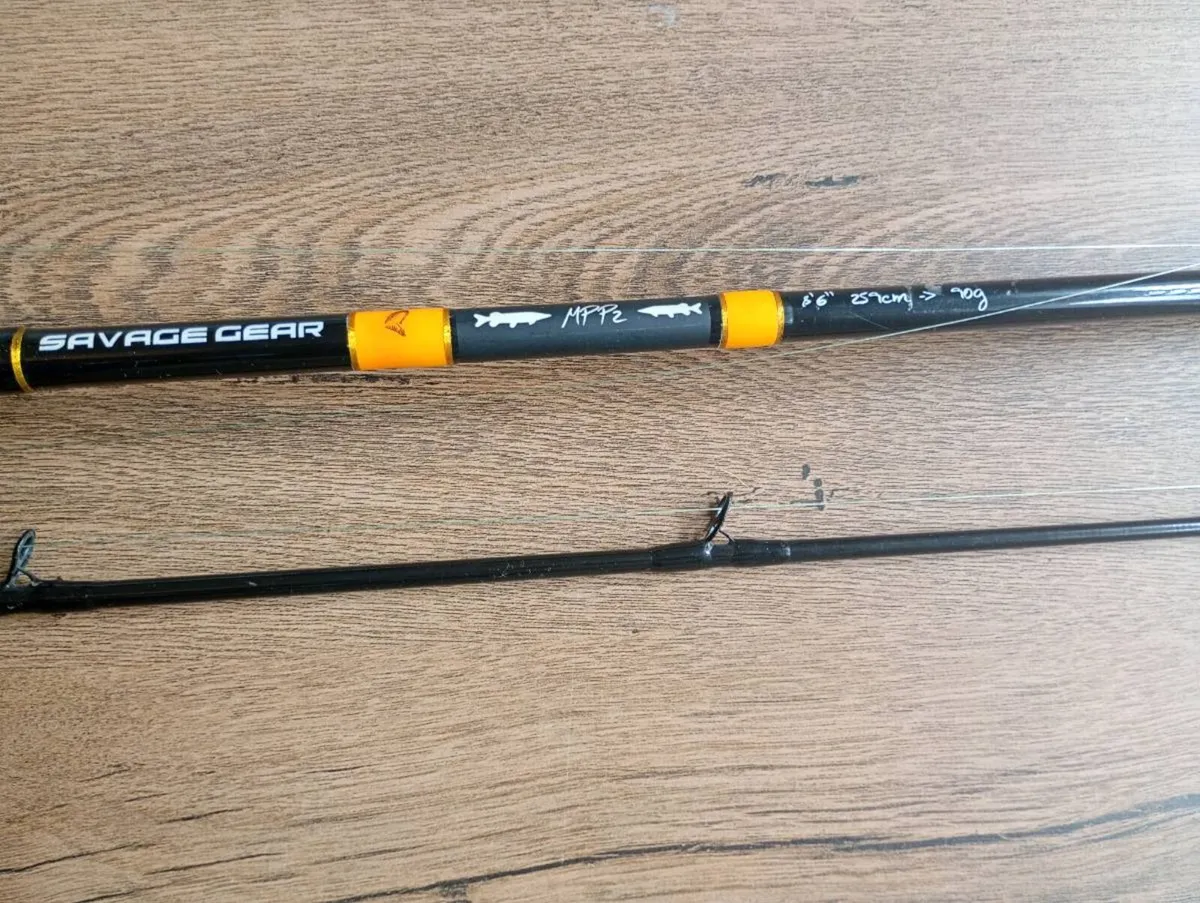 Pike multiplier reel, bait casting rod & braid - Image 2