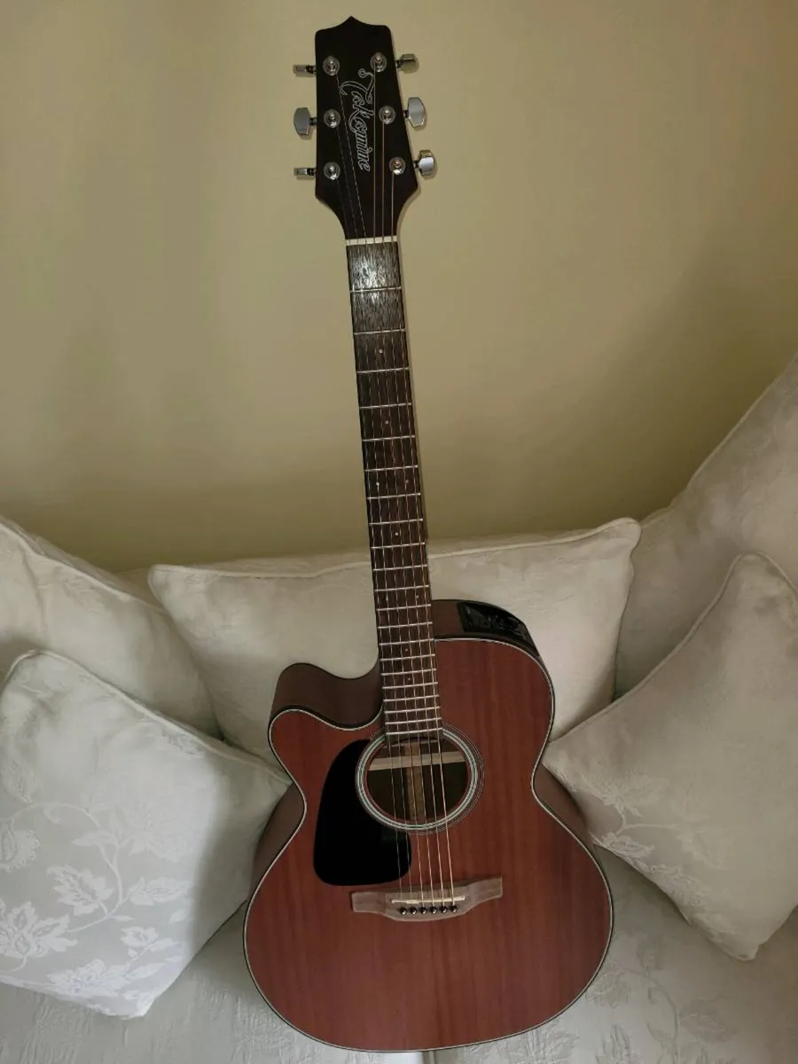 Takemine G Series - Image 3