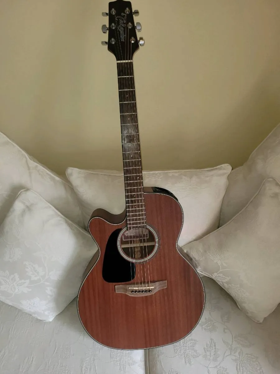 Takemine G Series - Image 4