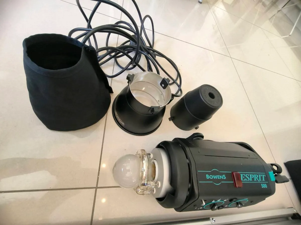 Bowens Esprit 500 Professional Studio Lighting Kit - Image 4
