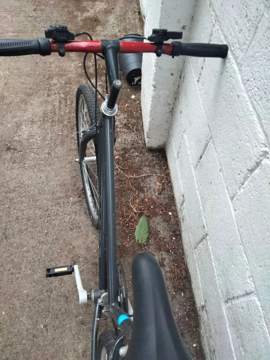 Bike - Image 1