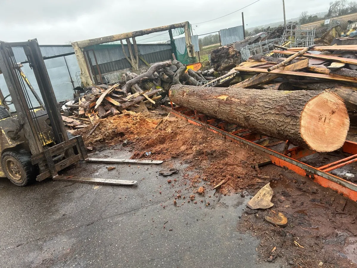 Sawmilling - Image 3