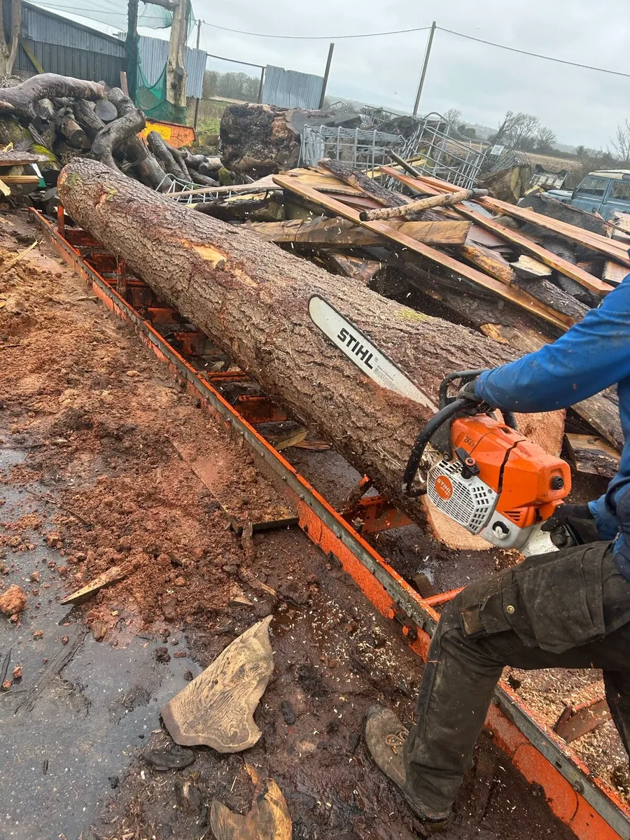 Sawmilling - Image 4