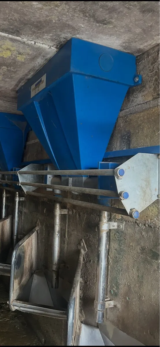 Dairymaster Feeders