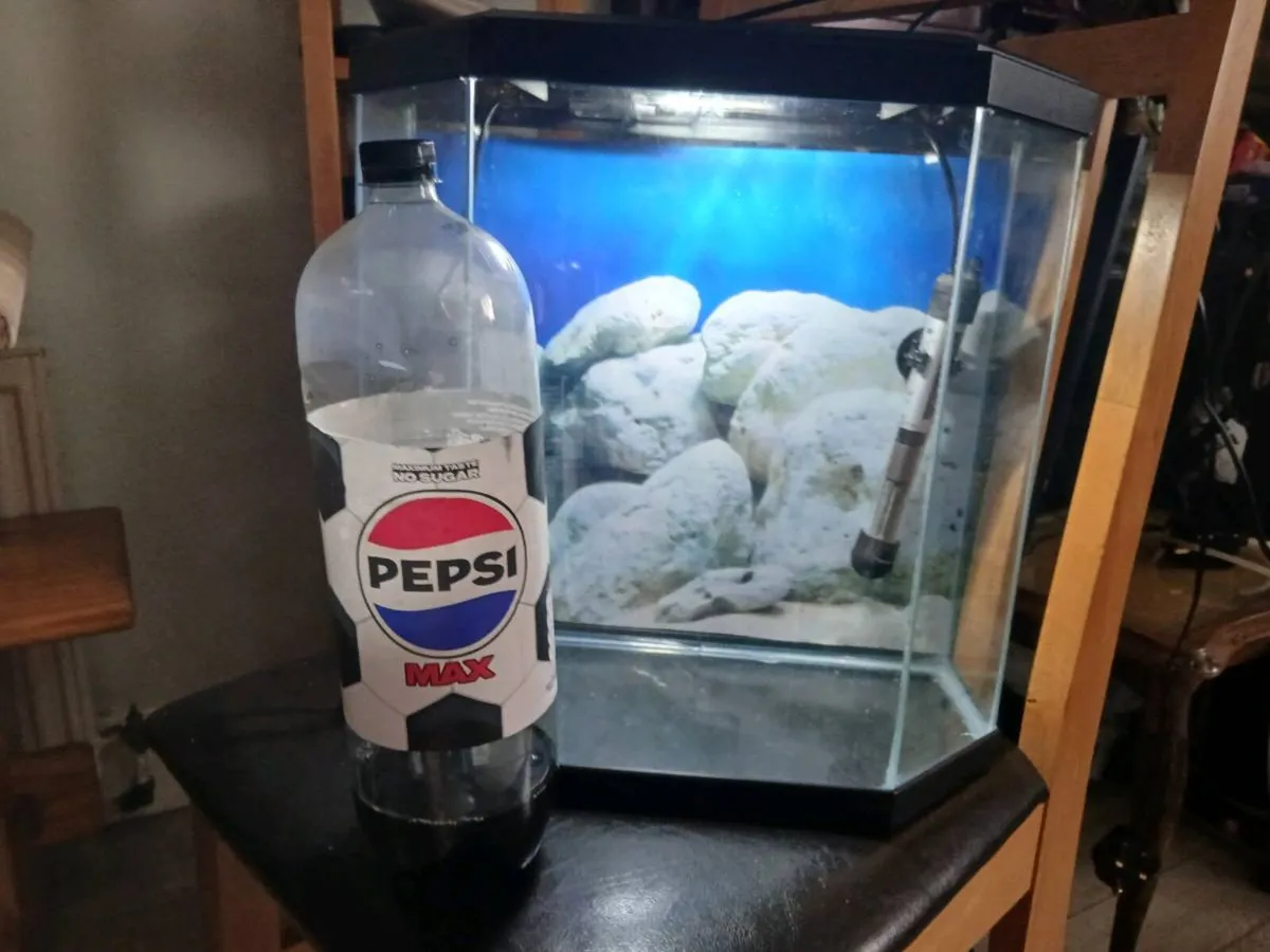 Fishtank - Image 2