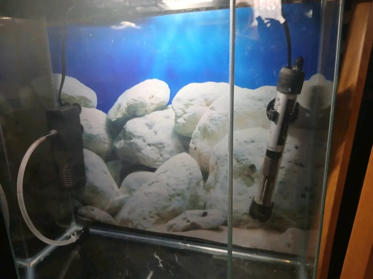 Fishtank - Image 3