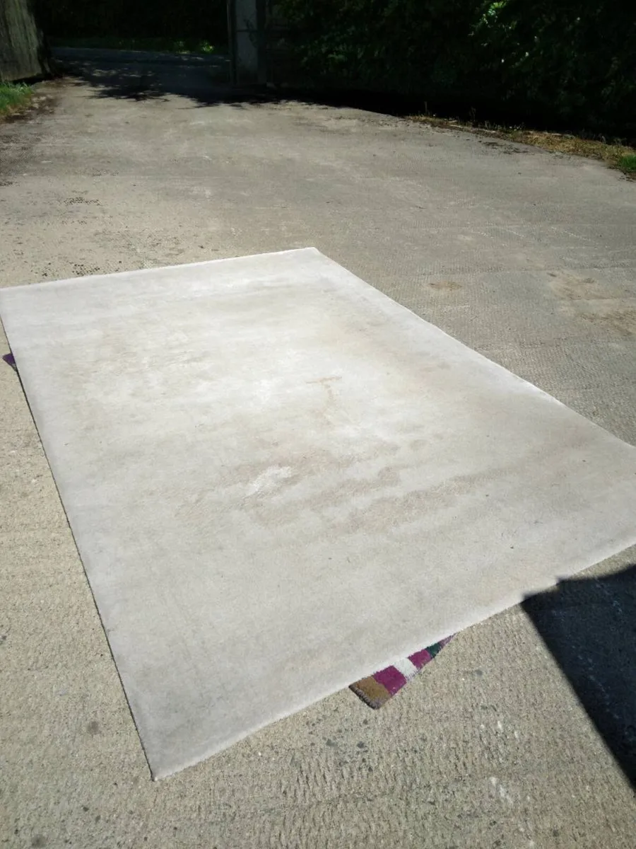 Carpet - Image 1