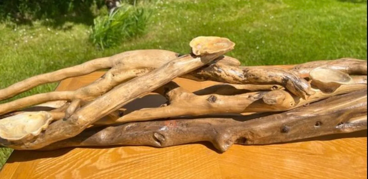 Handcrafted Donegal  driftwood - Image 3