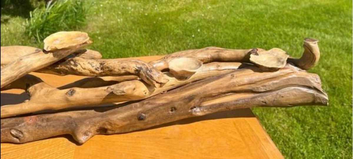 Handcrafted Donegal  driftwood - Image 4