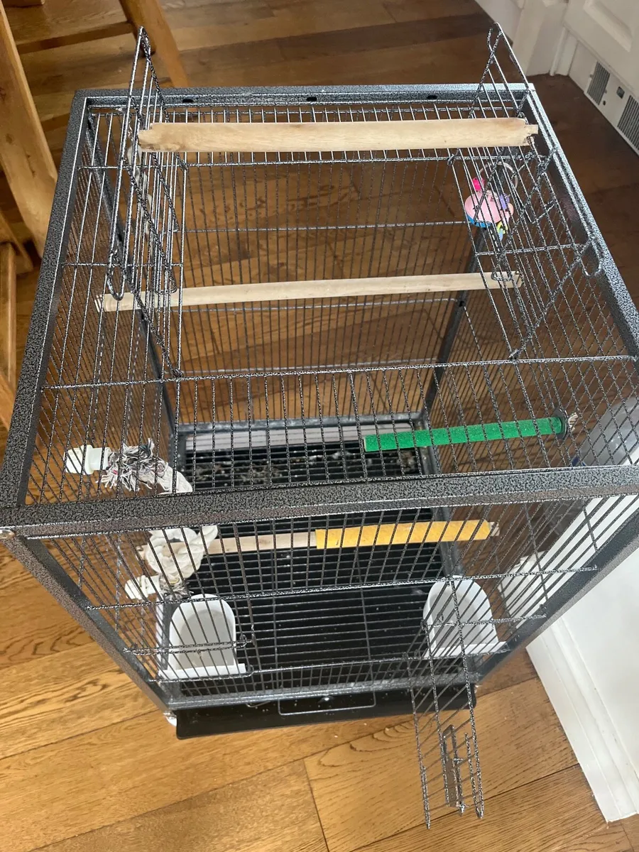 Bird cage - Image 2