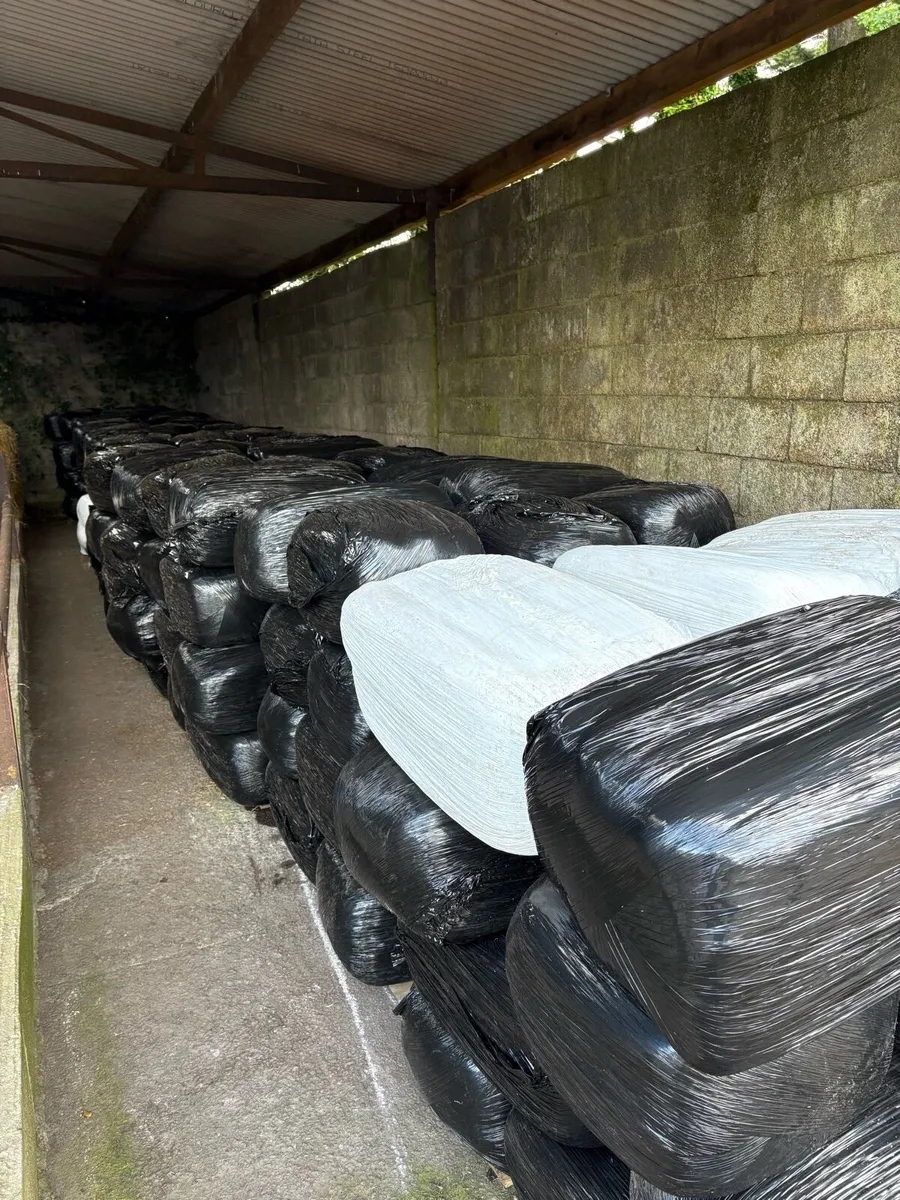 Premium Haylage - Image 2