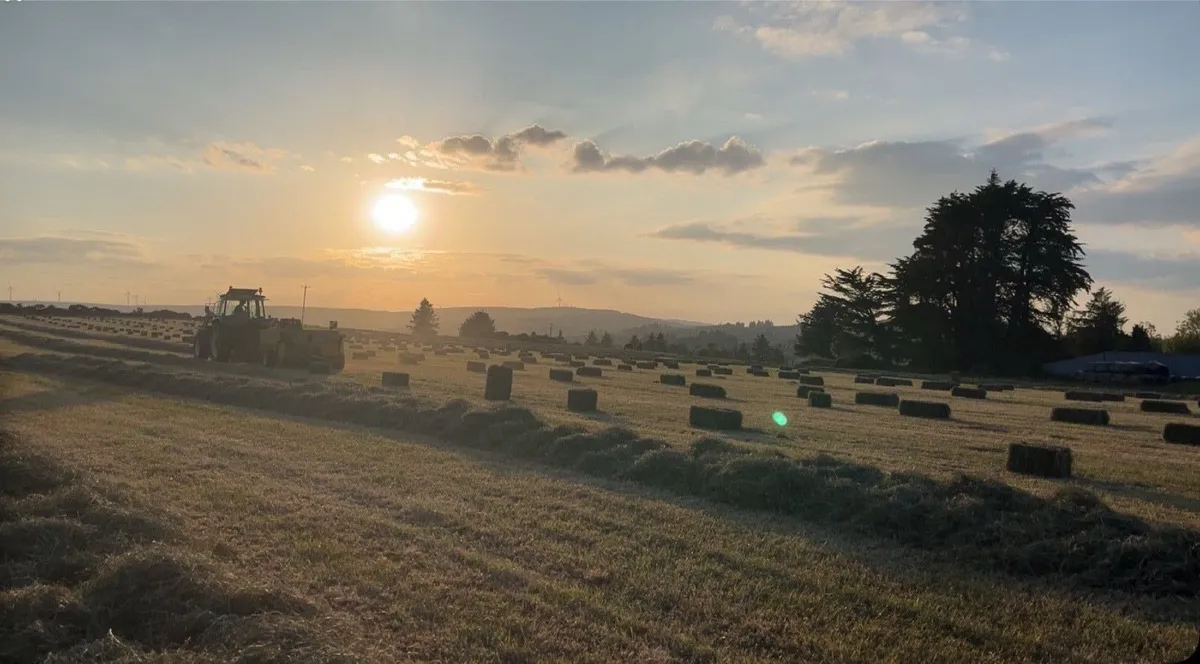 Small Square Bales of Hay