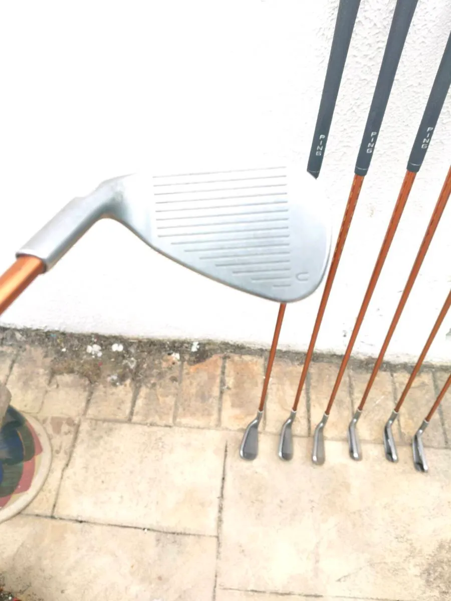 Ping G10 Graphite Irons - Image 4