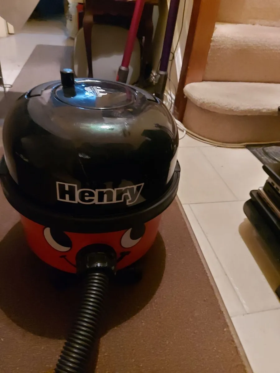 HENRY Numatic International Vacuum Cleaner - Image 1
