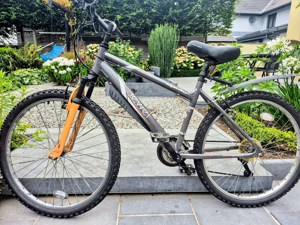 Girls Junior Bikes for Sale-Innishannon - Image 3