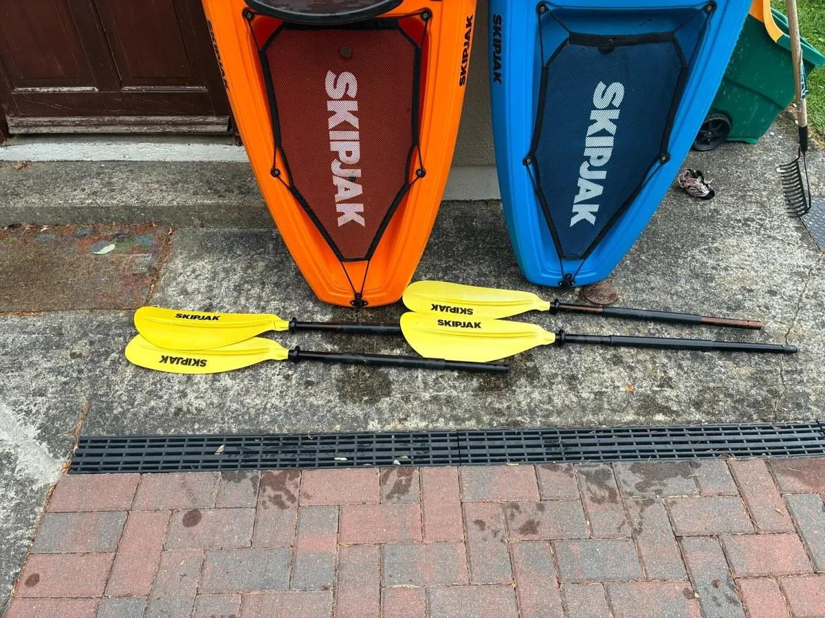 Two Sit on Kayaks - Image 4