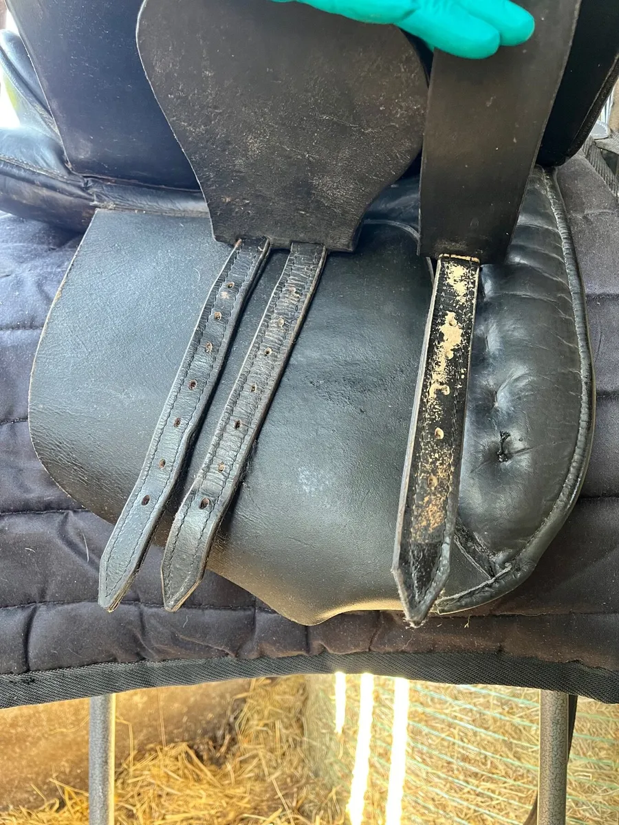Saddle & Bridles - Image 2