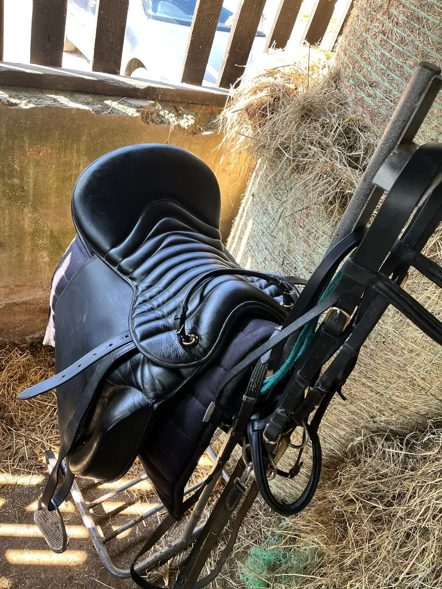 Saddle & Bridles - Image 3