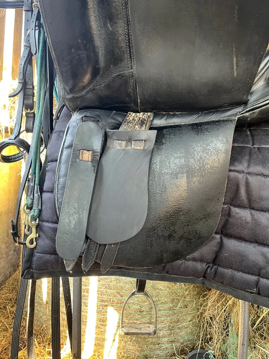 Saddle & Bridles - Image 4