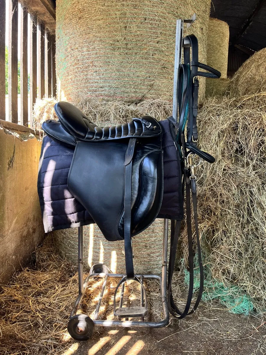 Saddle & Bridles - Image 1