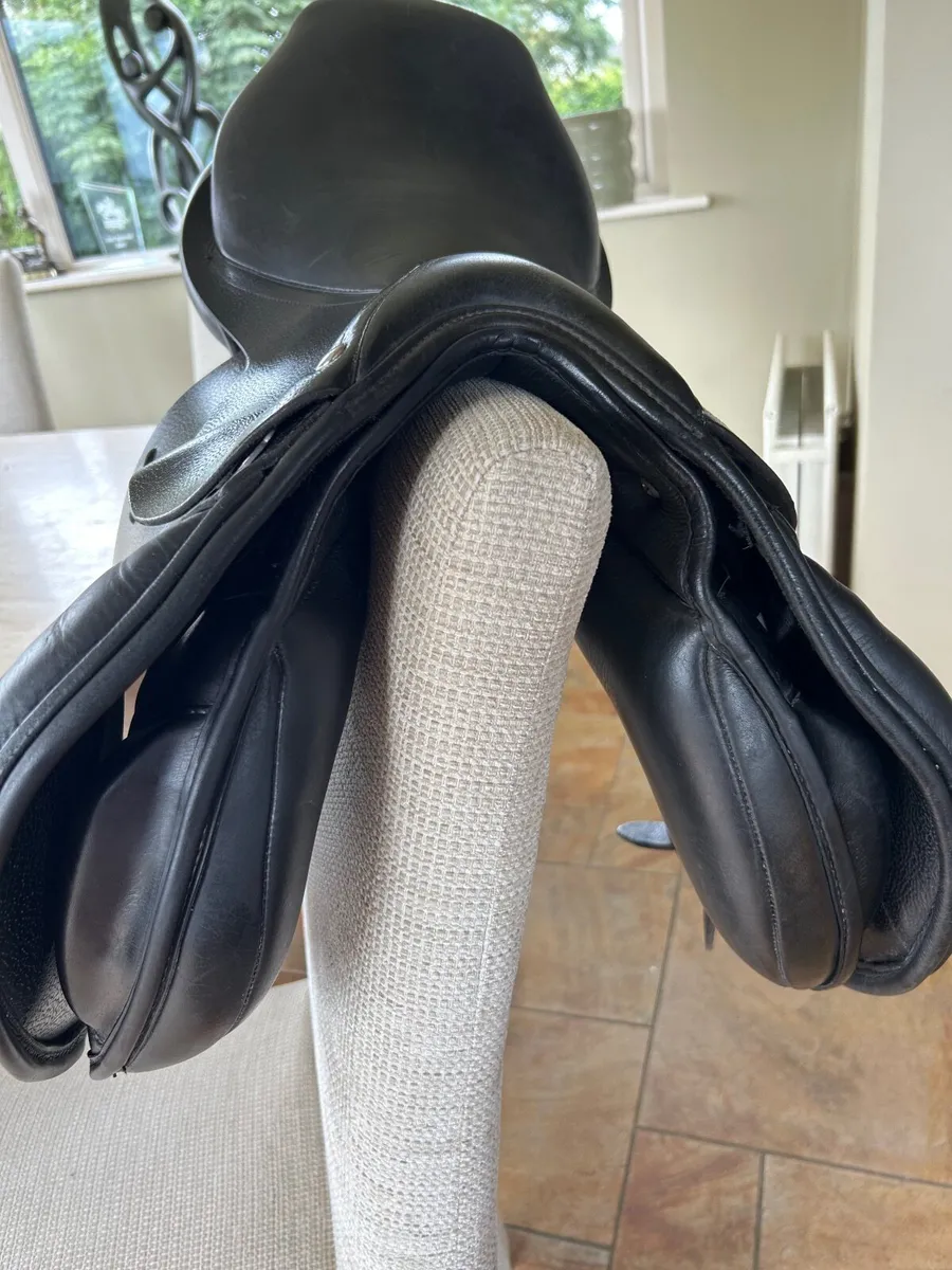 Saddle - Image 2