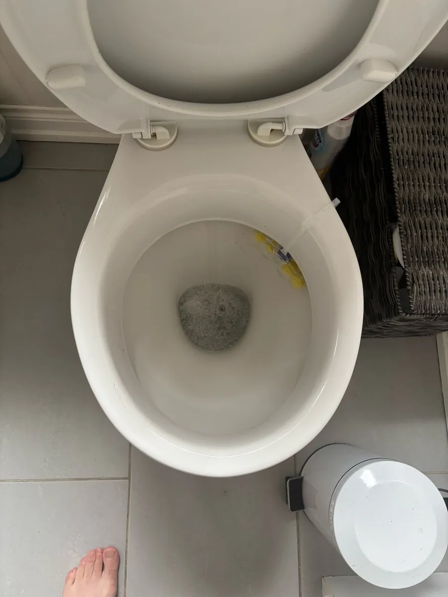 Toilet - Image 3