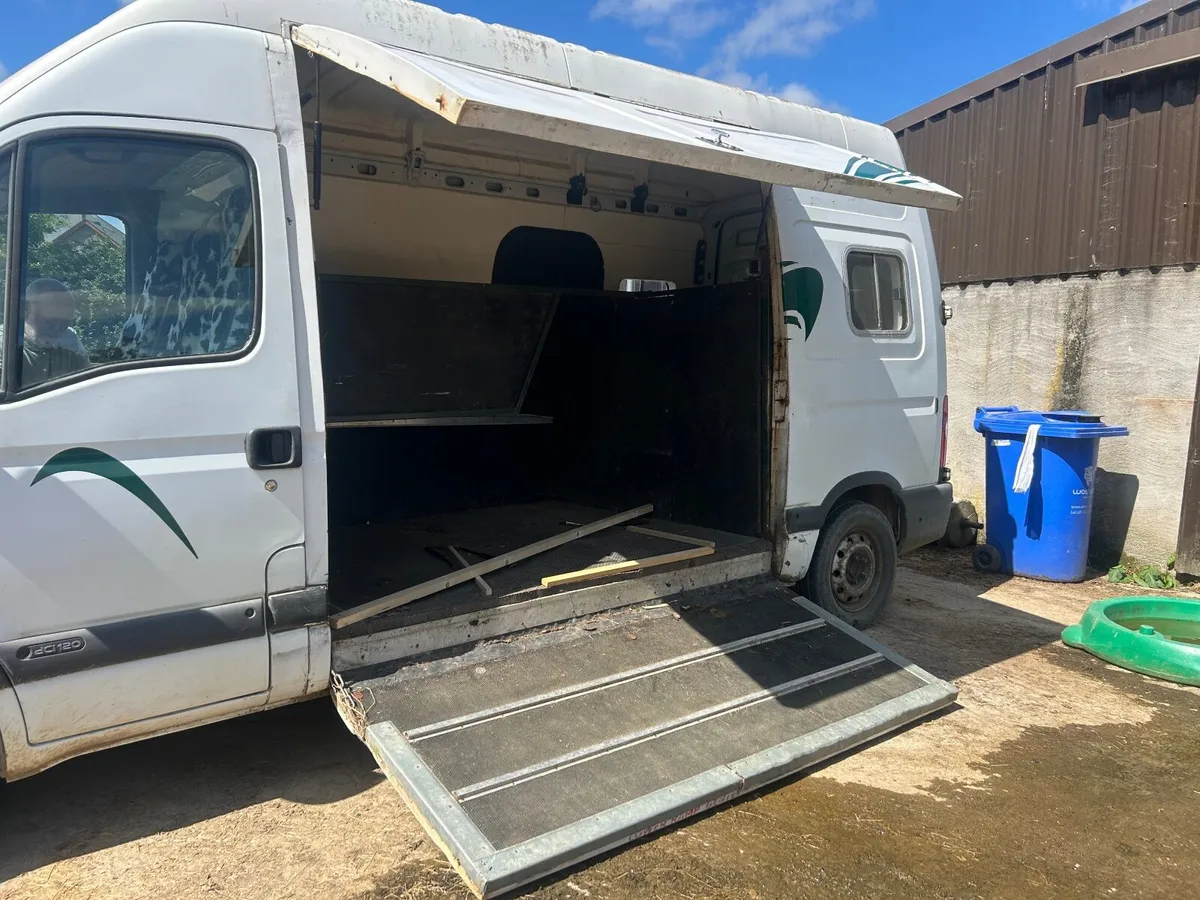 09 Renault master 2 horse van for sale. - Image 4