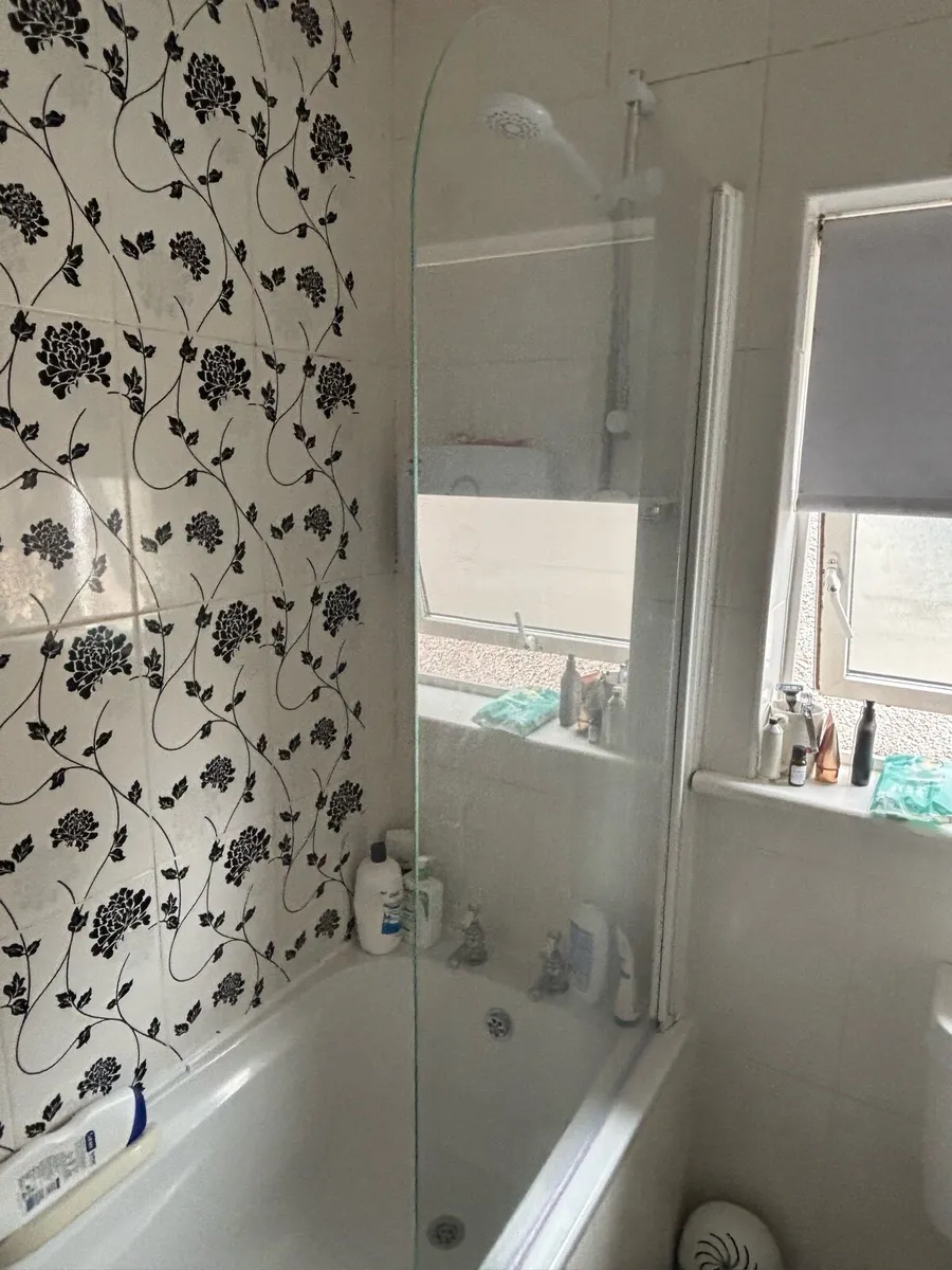 Shower door - Image 1