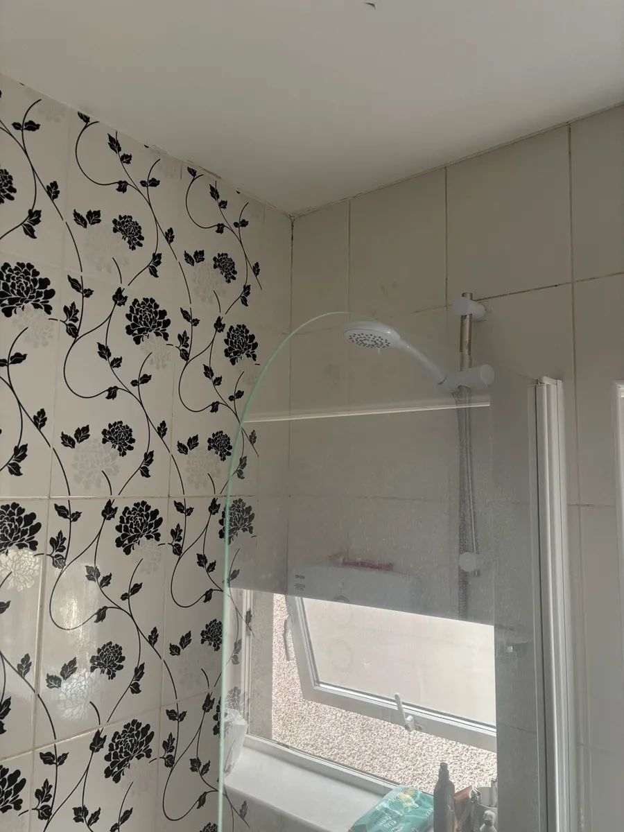 Shower door - Image 2