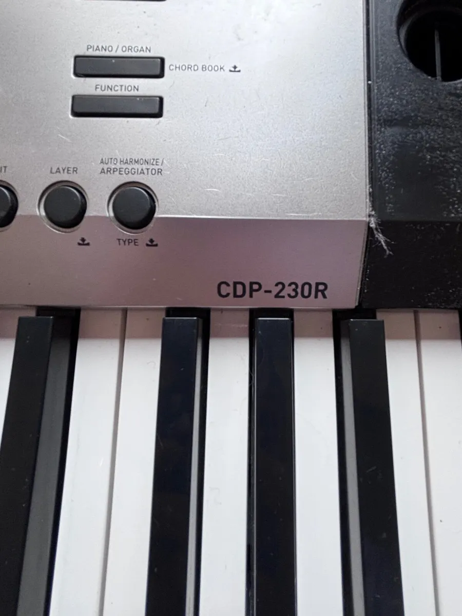 Casio fully weighted 88 keys digital piano - Image 2
