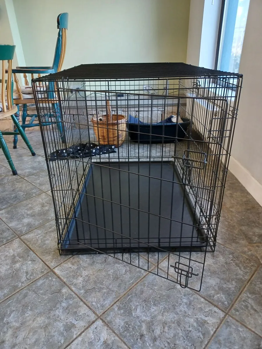 Pet accessories - Image 4
