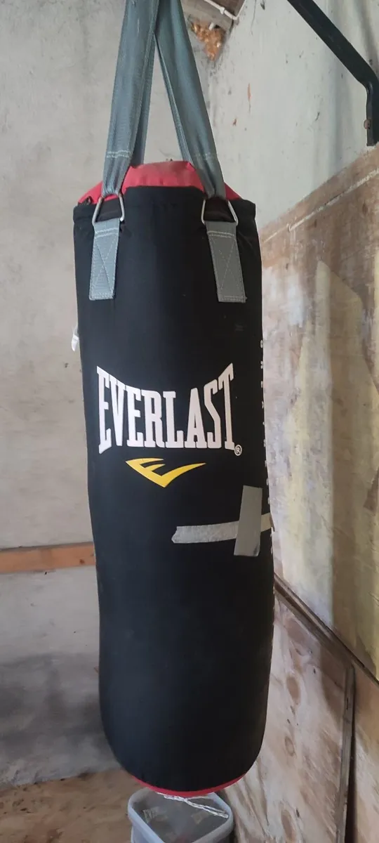 Punching bag