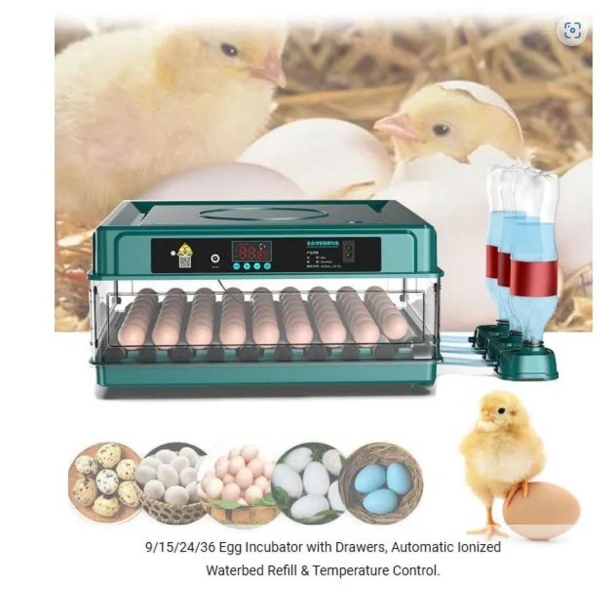 36 Egg Incubator; Automatic Egg Turner For Poultry - Image 2