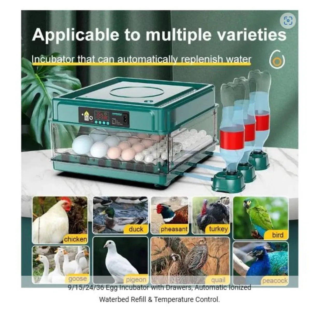 36 Egg Incubator; Automatic Egg Turner For Poultry - Image 4