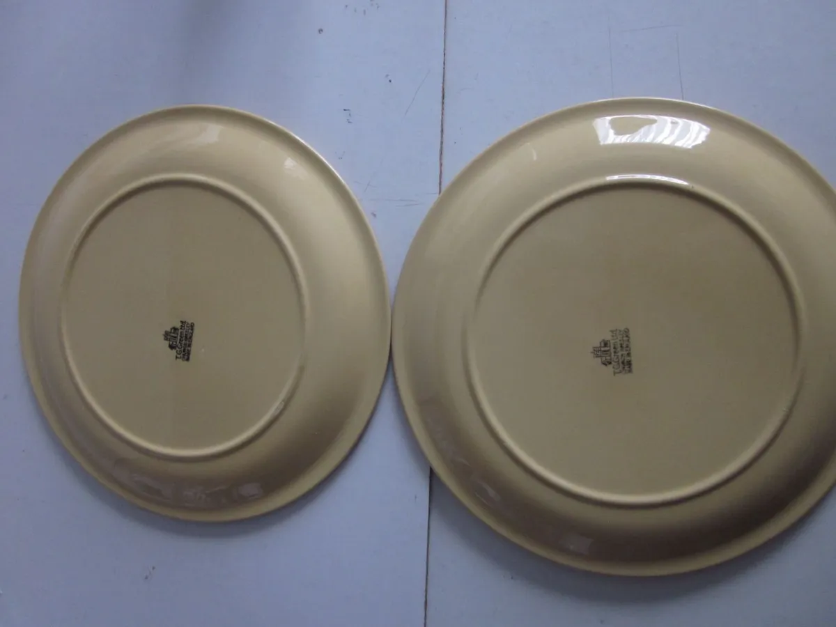 TG Green "Granville" Stoneware Glazed PlatesX16 - Image 4