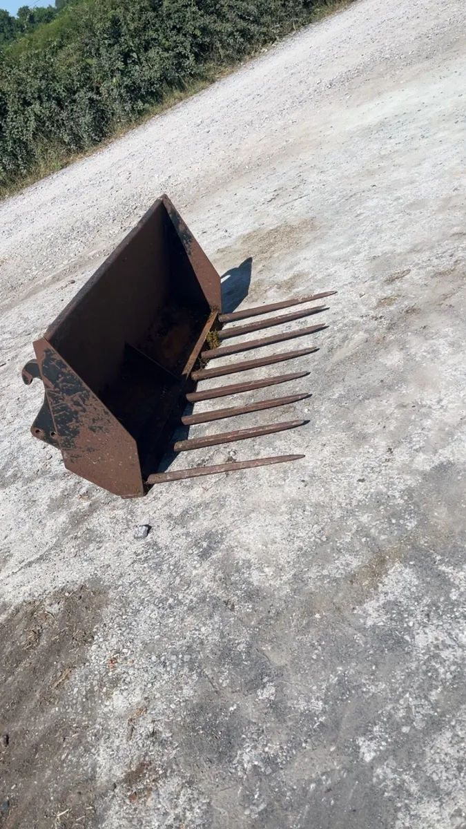 Dung fork - Image 1