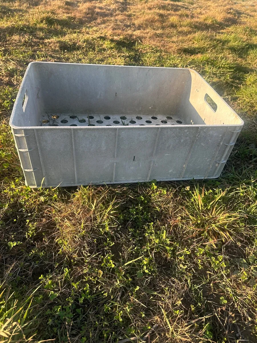 Plastic trays - Image 1