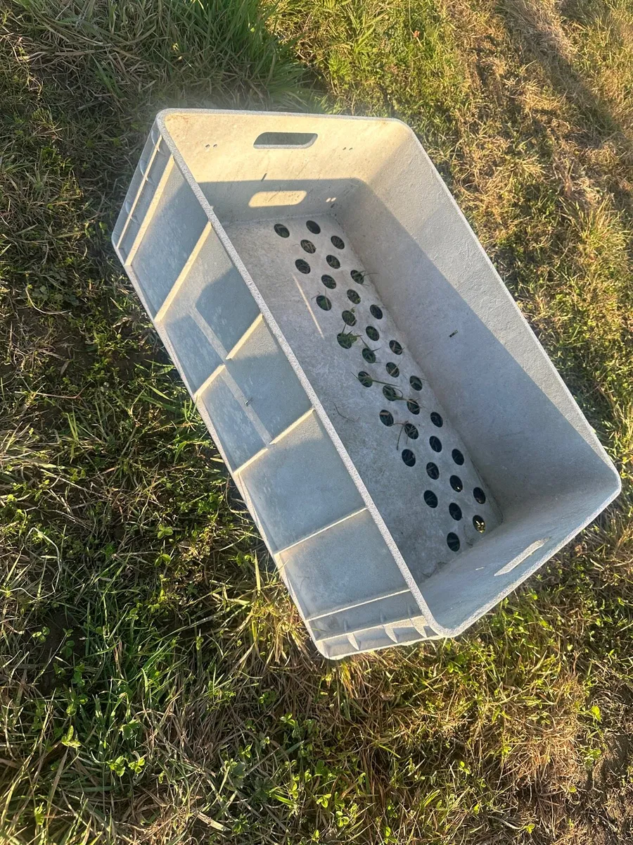 Plastic trays - Image 3