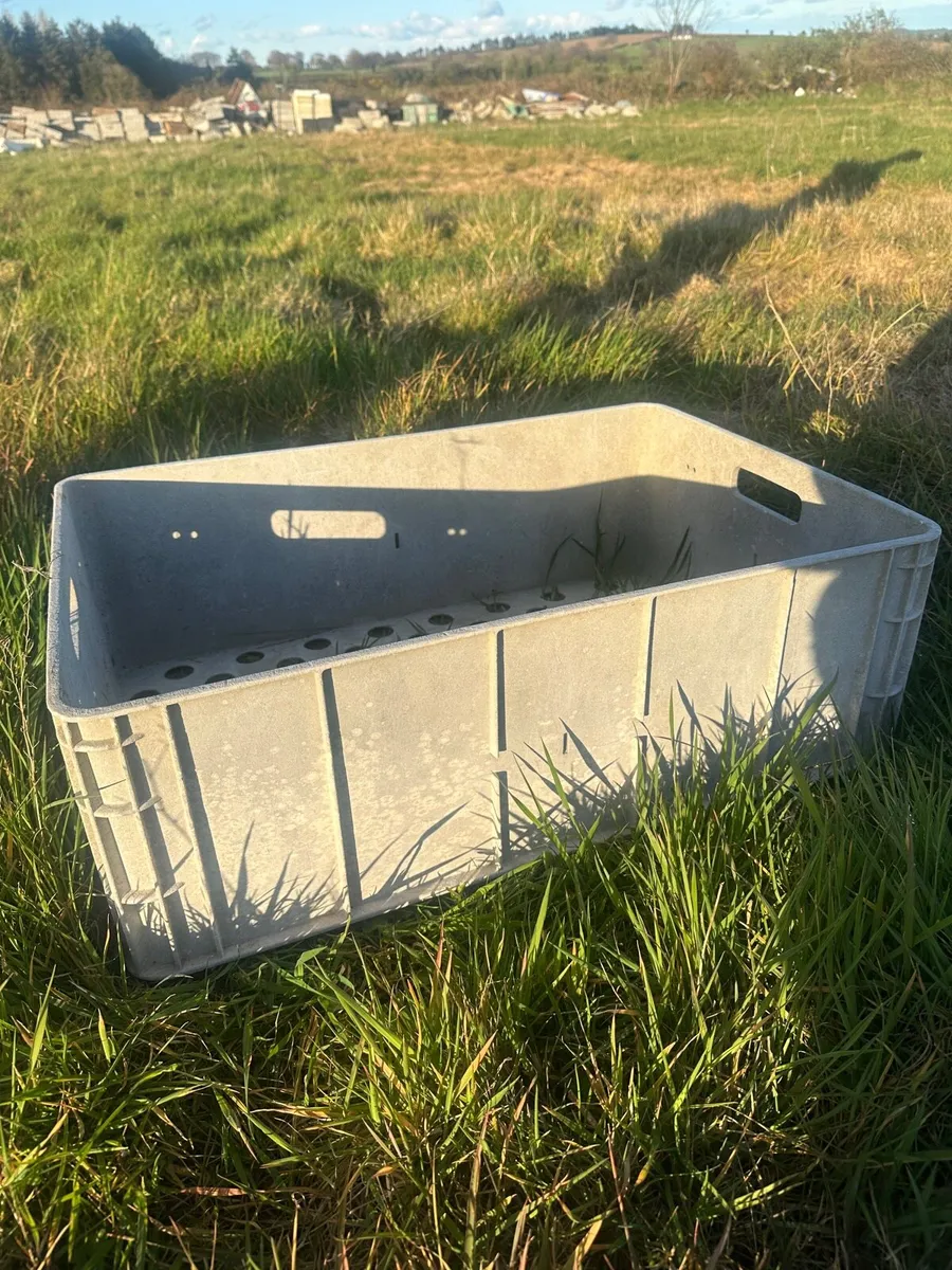 Plastic trays - Image 4