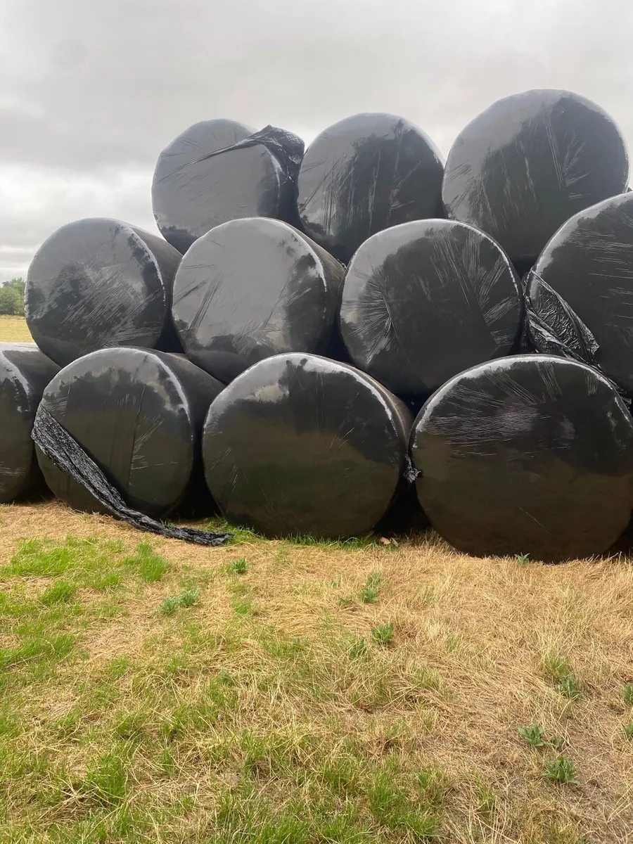 Haylage bales - Image 2