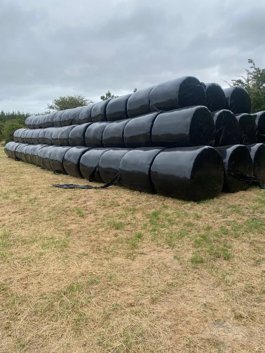 Haylage bales - Image 1
