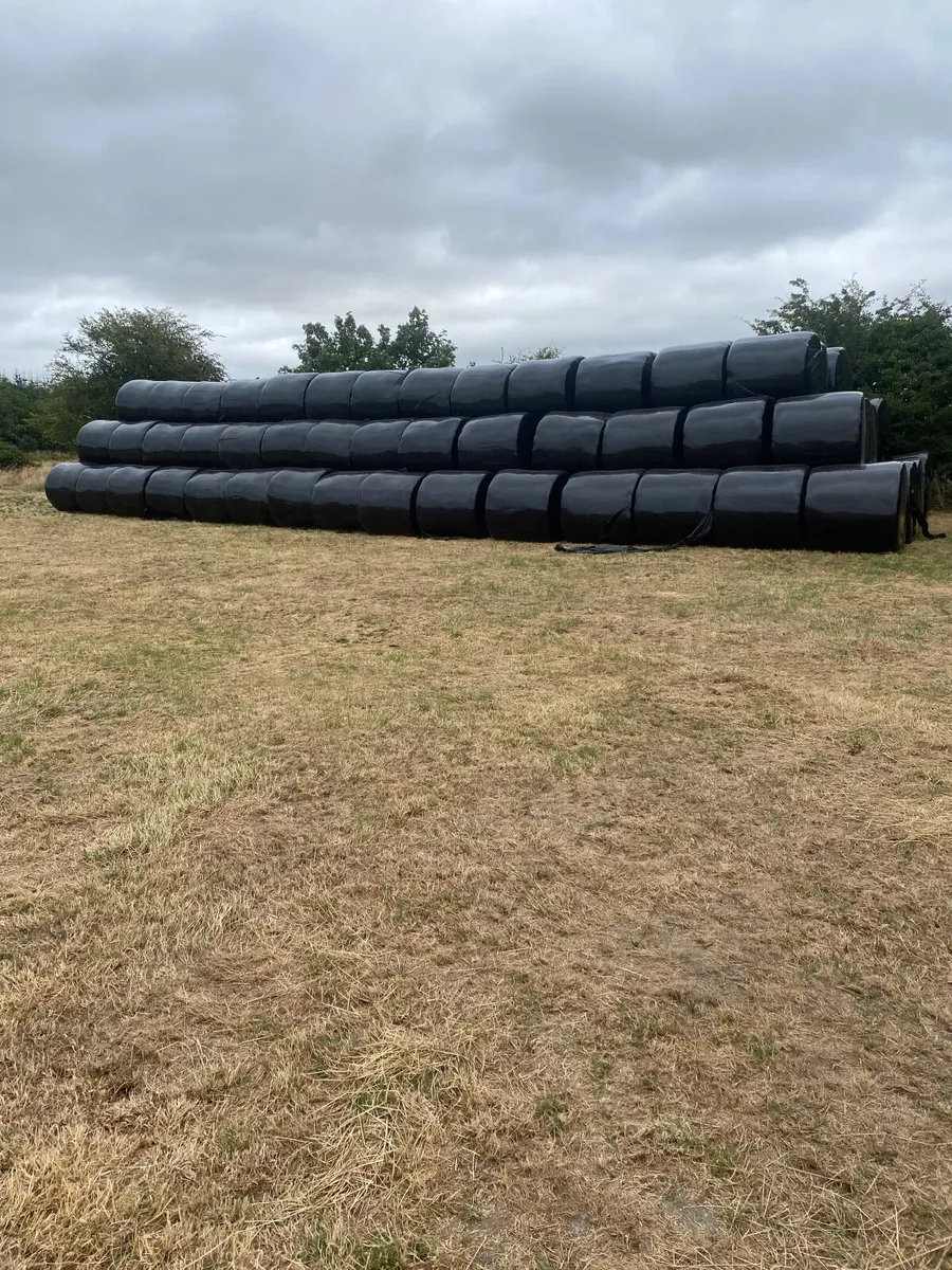 Haylage bales - Image 3