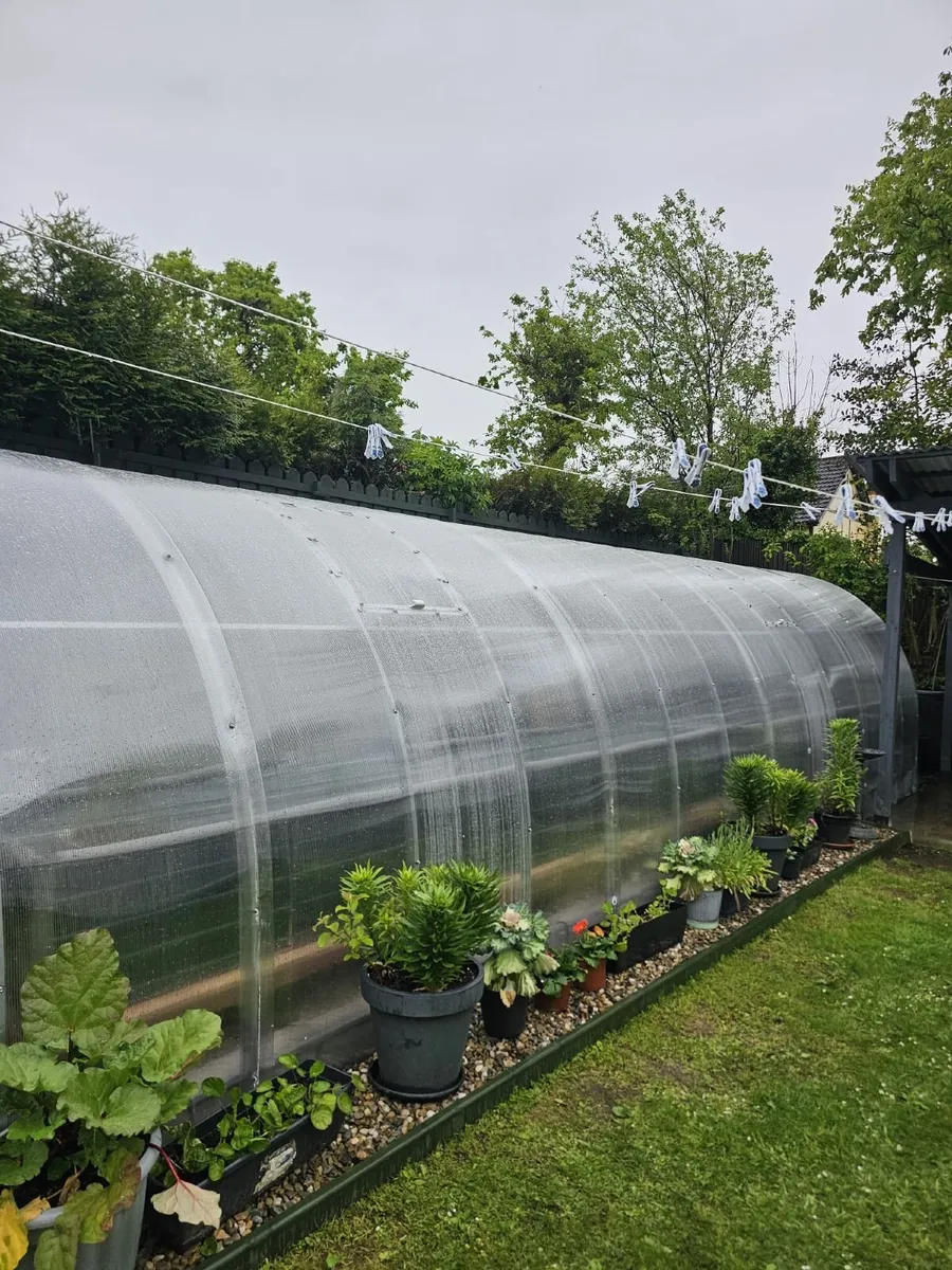 Stop settling for flimsy. Choose BMP Garden Classi - Image 3