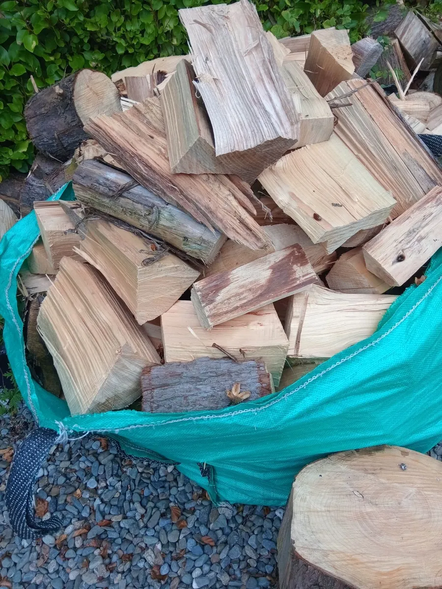 Wood - Image 3