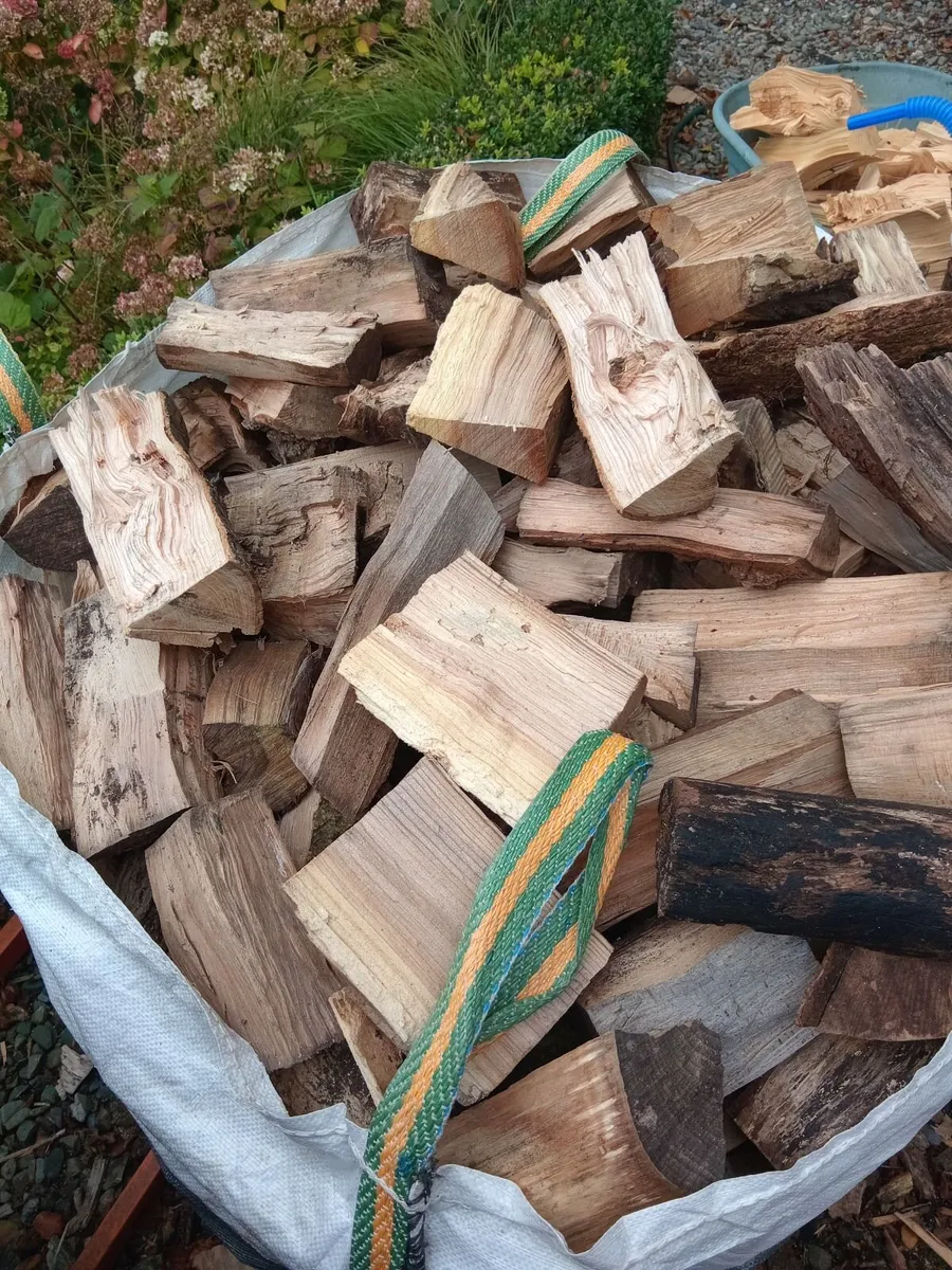 Wood - Image 4